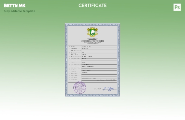 Модерен стил, шаблон за шаблон за ПСД за потврда за смрт од витален рекорд на Бр